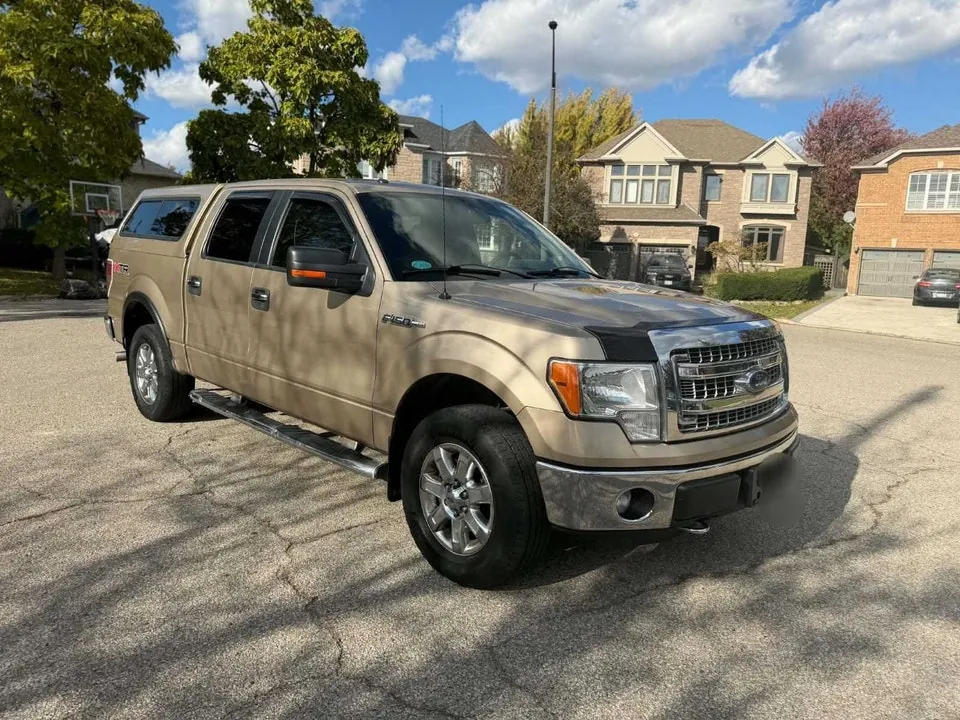 Ford F-150 2014 photo 3
