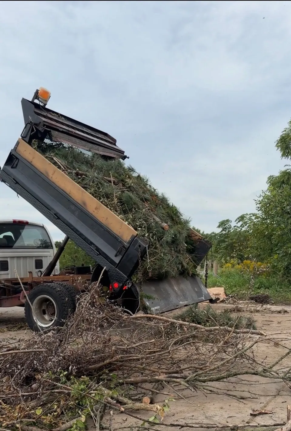 Dodge Ram 3500 2004 photo 4