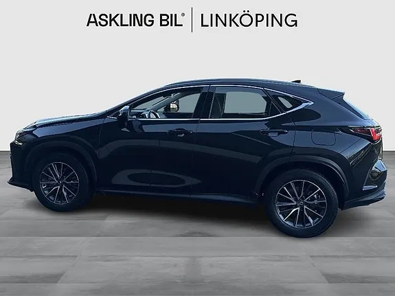 Lexus Nx350H 2024 photo 3