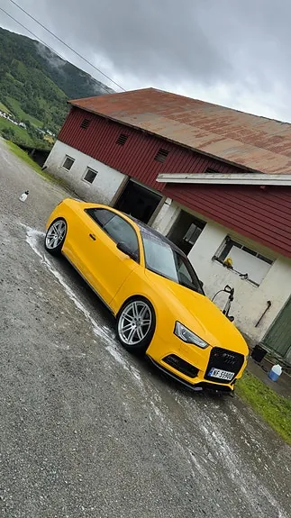 Audi S5 2013 photo 2
