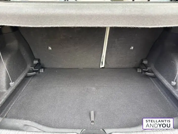 Fiat 600 2026 photo 3