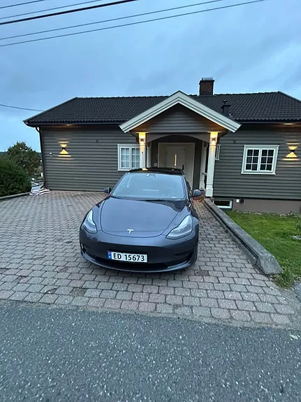 Tesla Model 3 2021 photo 4