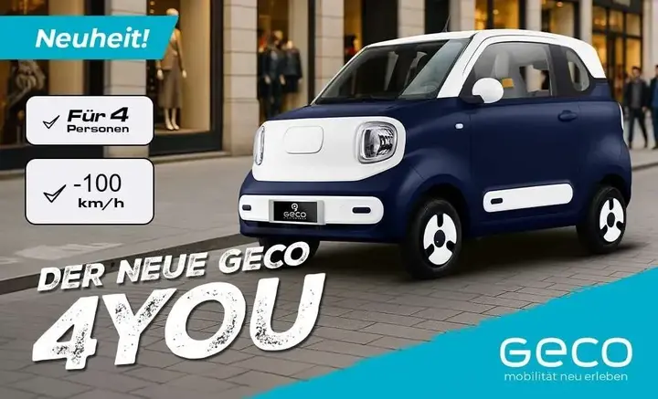 Geo Pony 4You
