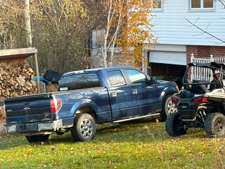 Ford F-150 2010 photo 2