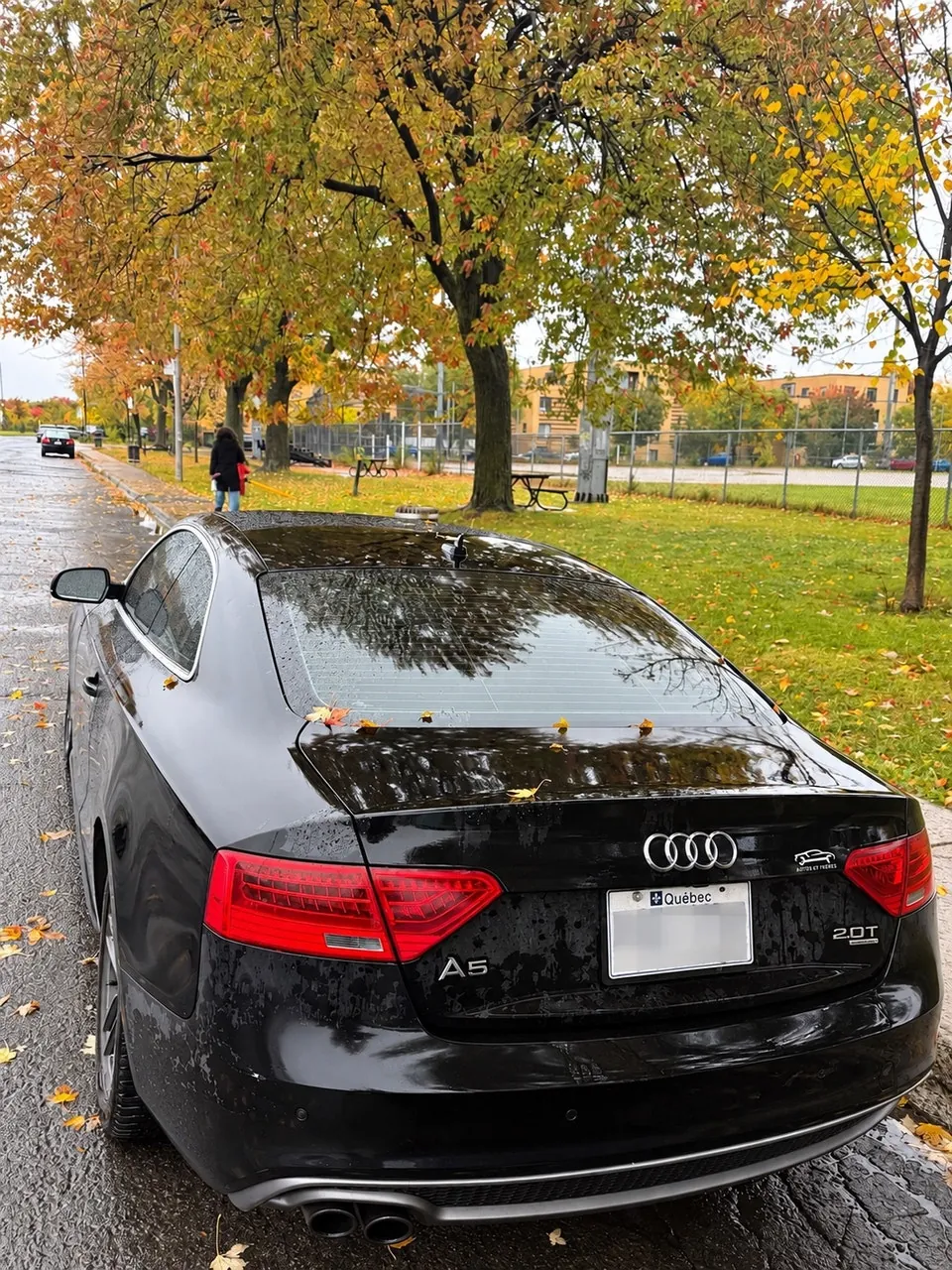 Audi A5 2014 photo 3