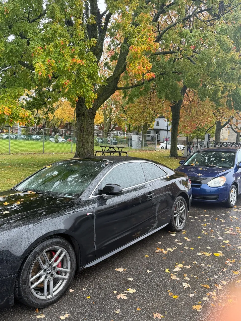 Audi A5 2014 photo 2