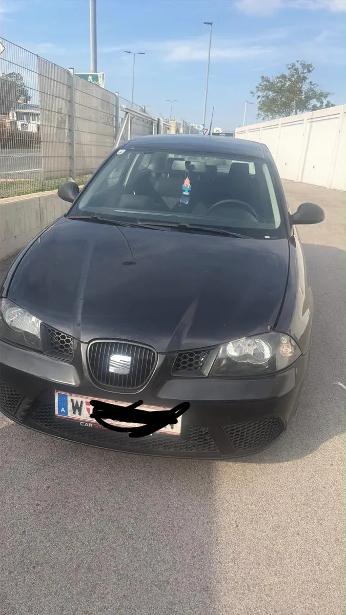 Seat Ibiza 2009 photo 2