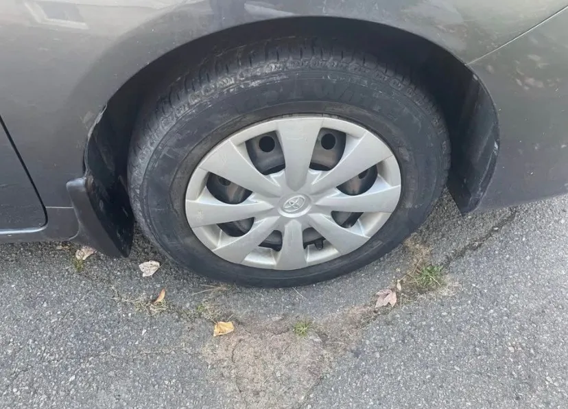 Toyota Corolla 2011 photo 2