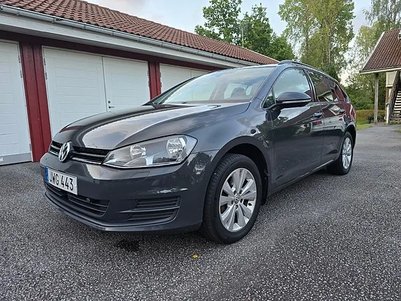 Volkswagen Golf Vii 2016 photo 3