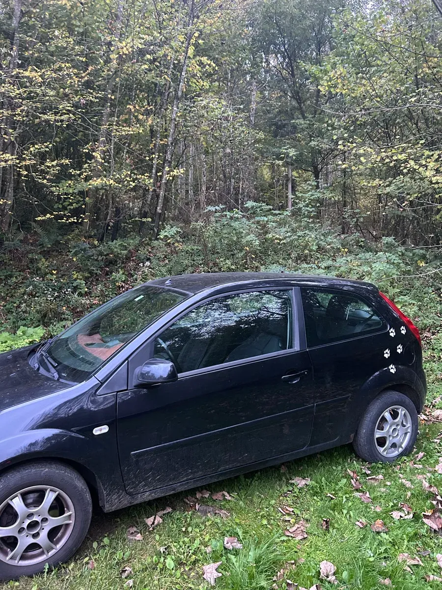 Ford Fiesta 2007 photo 2
