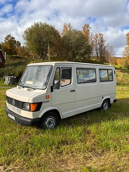 Mercedes-Benz 207 1981 photo 3