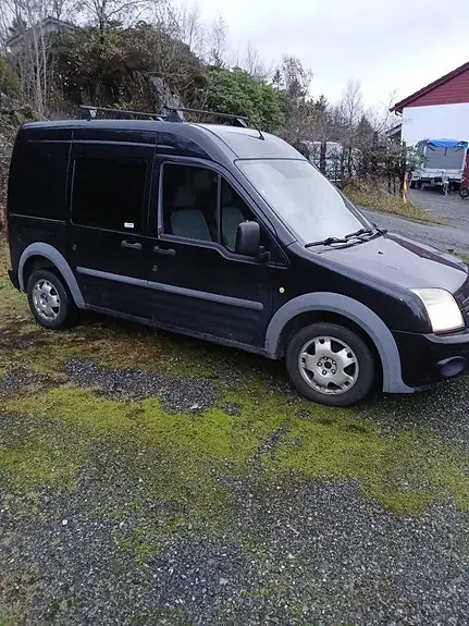 Ford Transit Connect 2010 photo 2