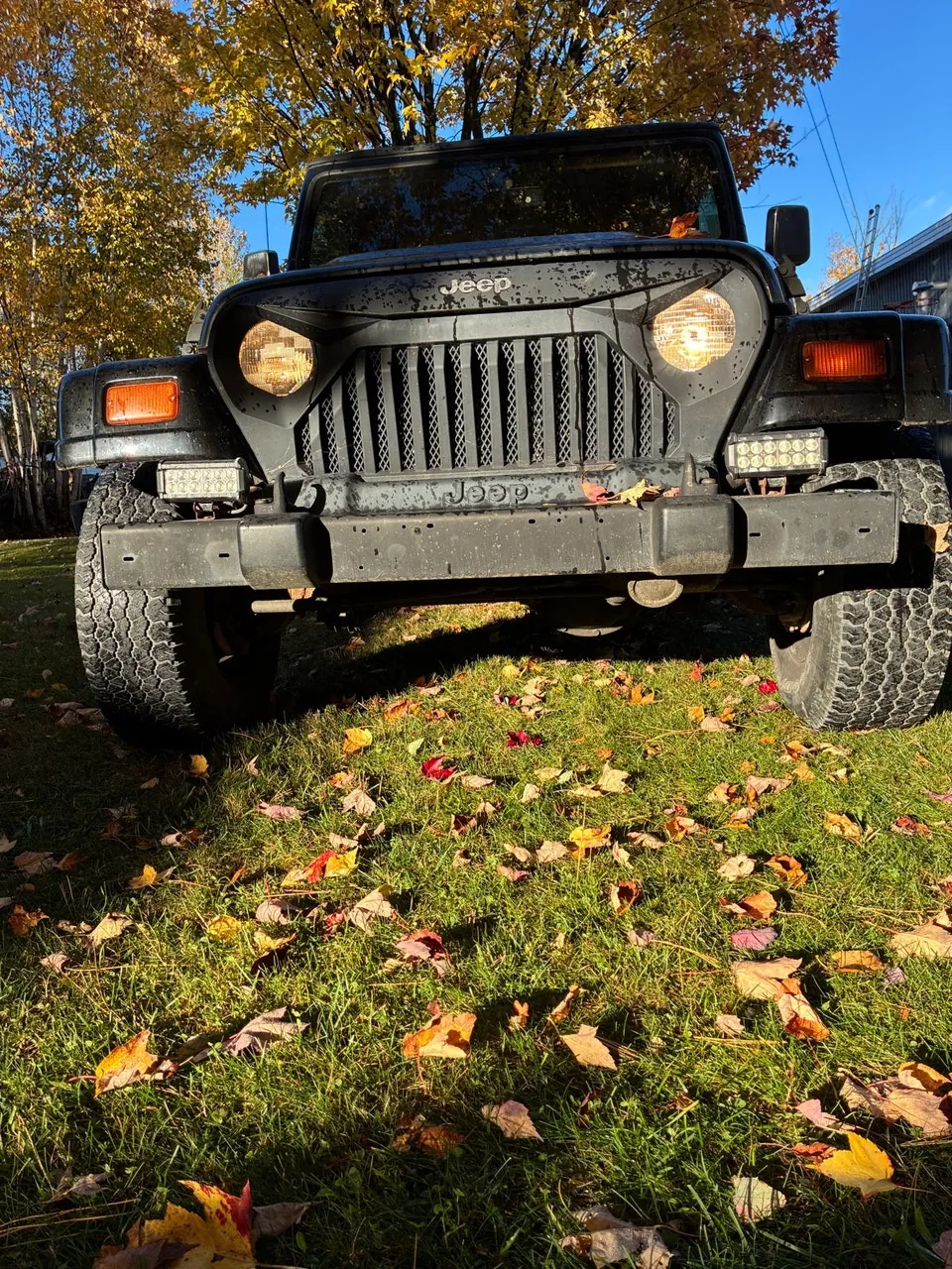Jeep Wrangler 1999 photo 5