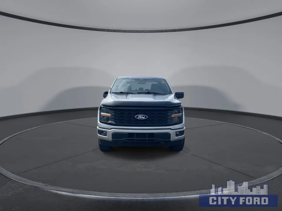 Ford F-150 2024 photo 3