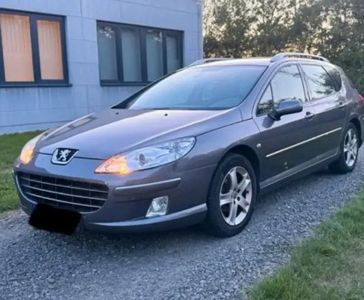 Peugeot 407 Sw