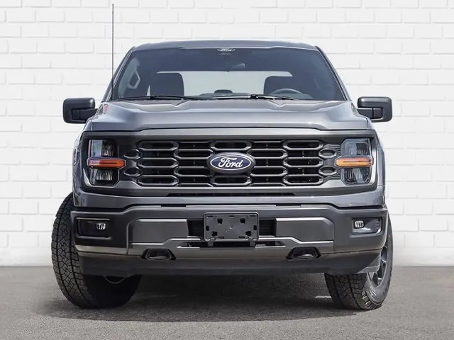 Ford F-150 2025 photo 3