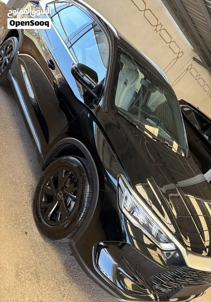 BYD Sealion 2026 photo 4