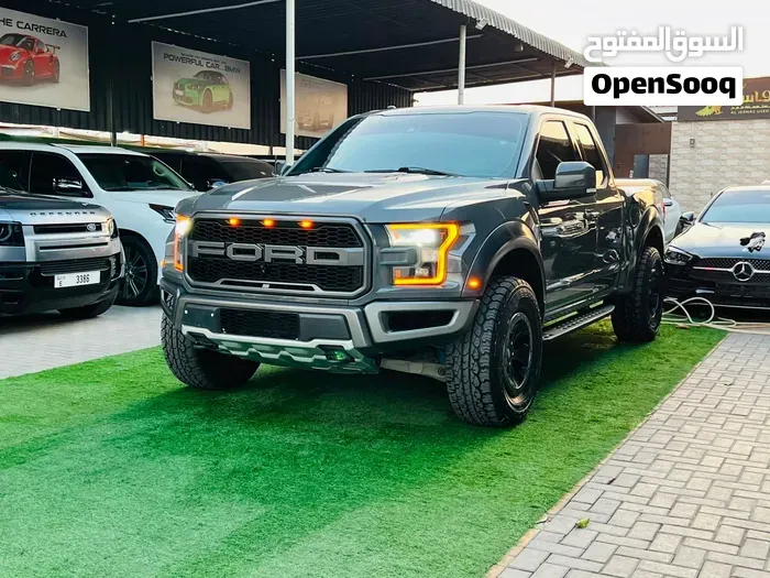 Ford Raptor 2017 photo 3