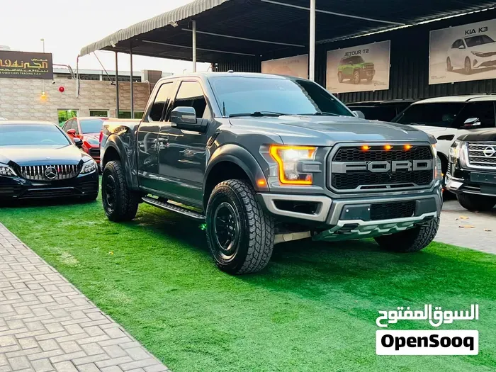 Ford Raptor 2017 photo 2