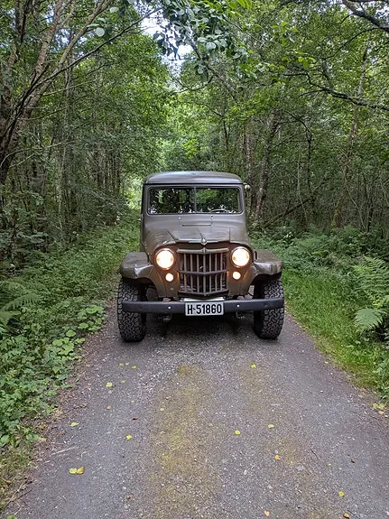 Willys Jeep 1955 photo 3