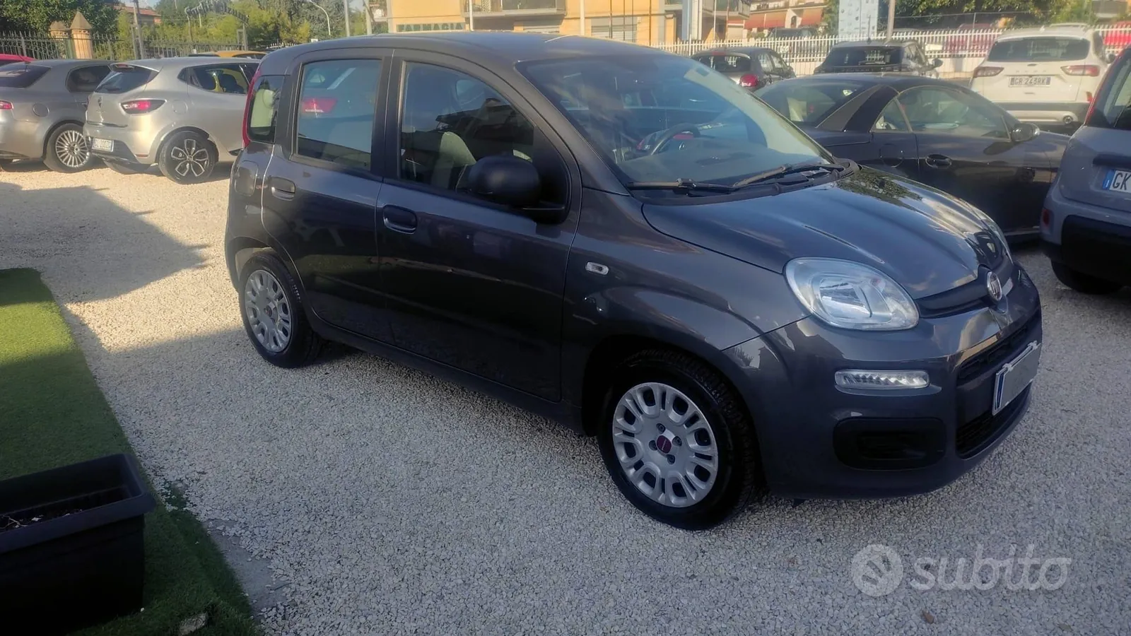 Fiat Panda 2022 photo 2