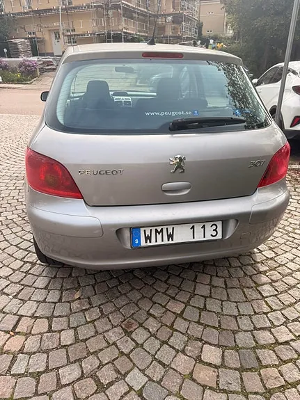 Peugeot 307 2005 photo 3