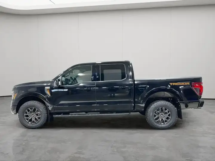 Ford F-150 Supercrew 2026 photo 4