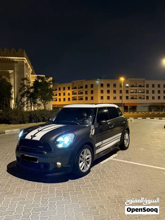Mini Countryman