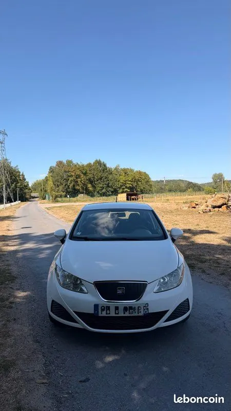Seat Ibiza 2009 photo 3