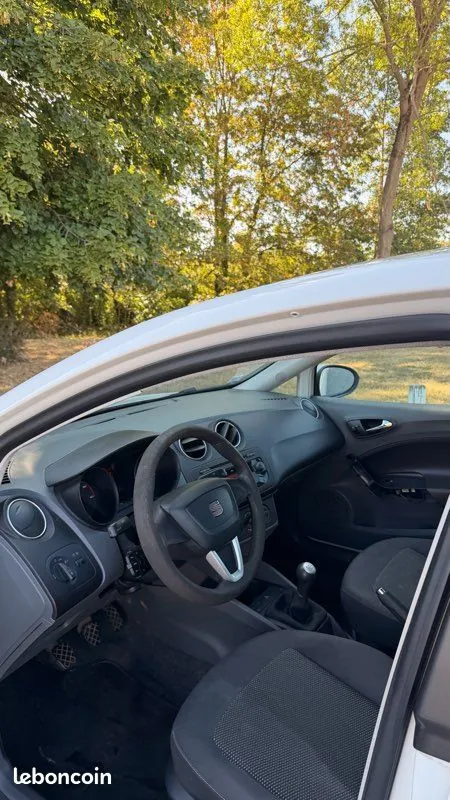 Seat Ibiza 2009 photo 4