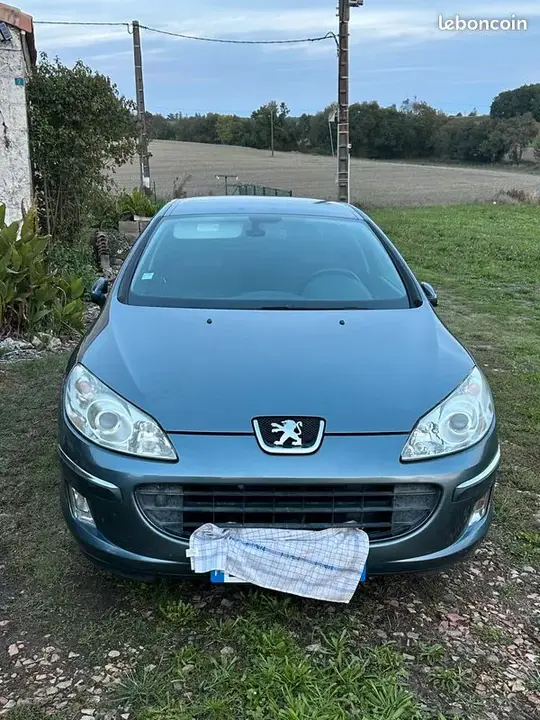 Peugeot 407 2004 photo 2