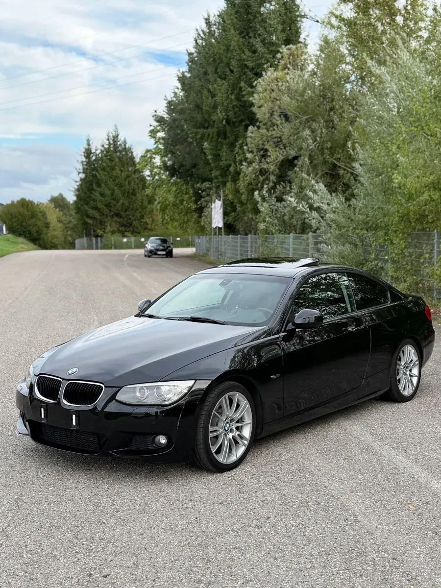 BMW 3 Series 2010 photo 2