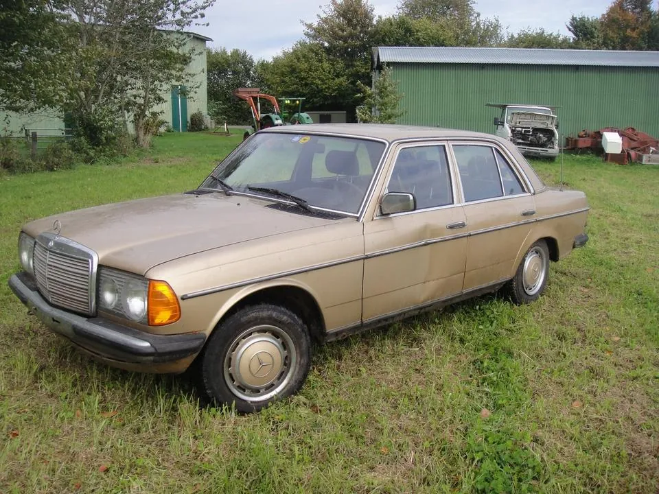 Mercedes-Benz W123