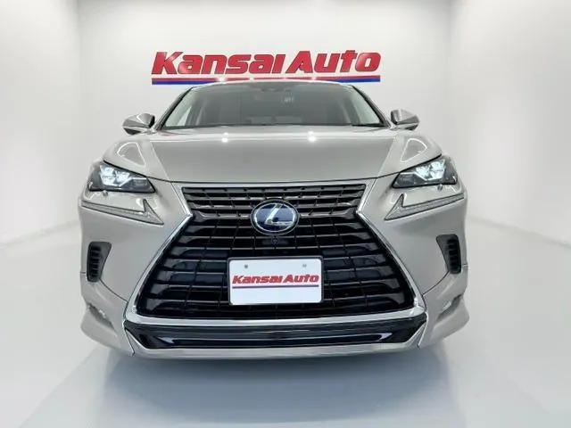 Lexus Nx300H 2019 photo 5