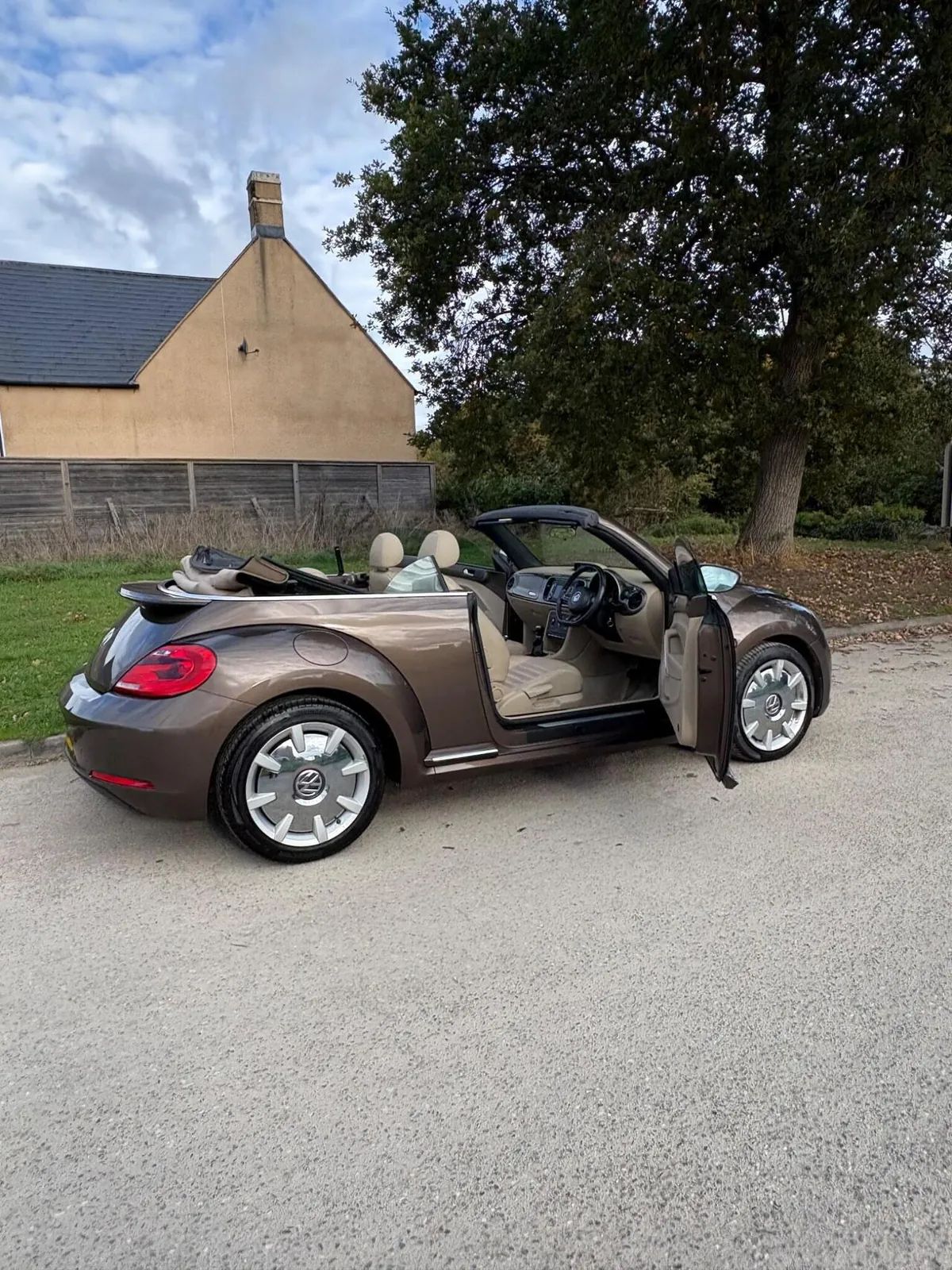Volkswagen Beetle
