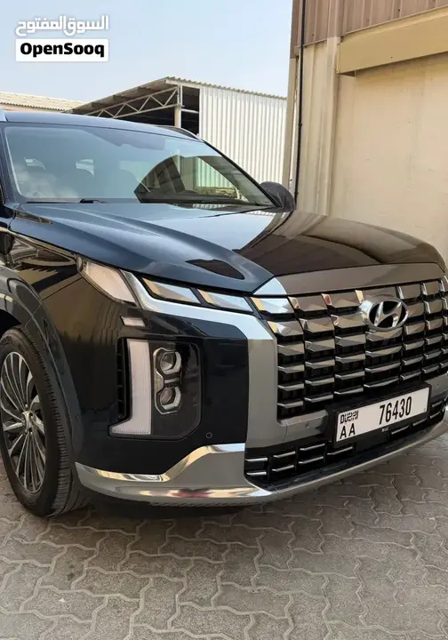 Hyundai Palisade 2024 photo 2
