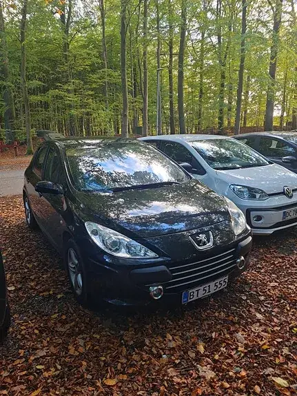 Peugeot 307 2007 photo 3