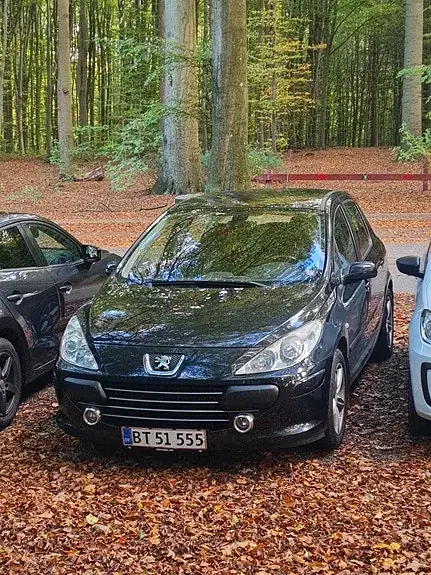 Peugeot 307