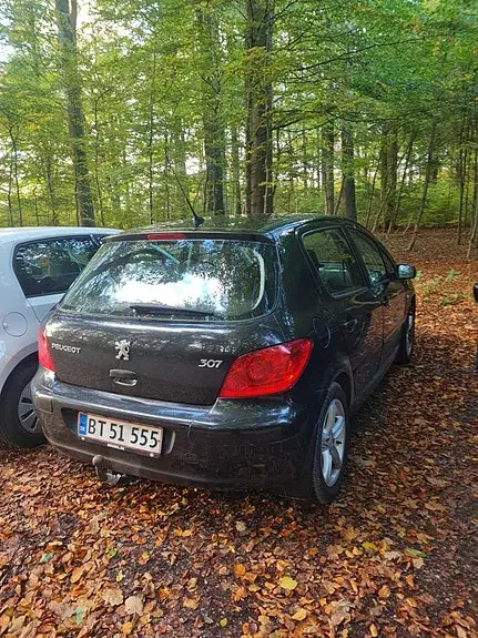 Peugeot 307 2007 photo 2