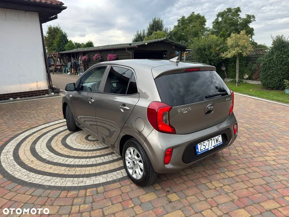 Kia Picanto 2019 photo 3