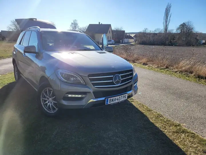 Mercedes-Benz M-Class 2013 photo 2