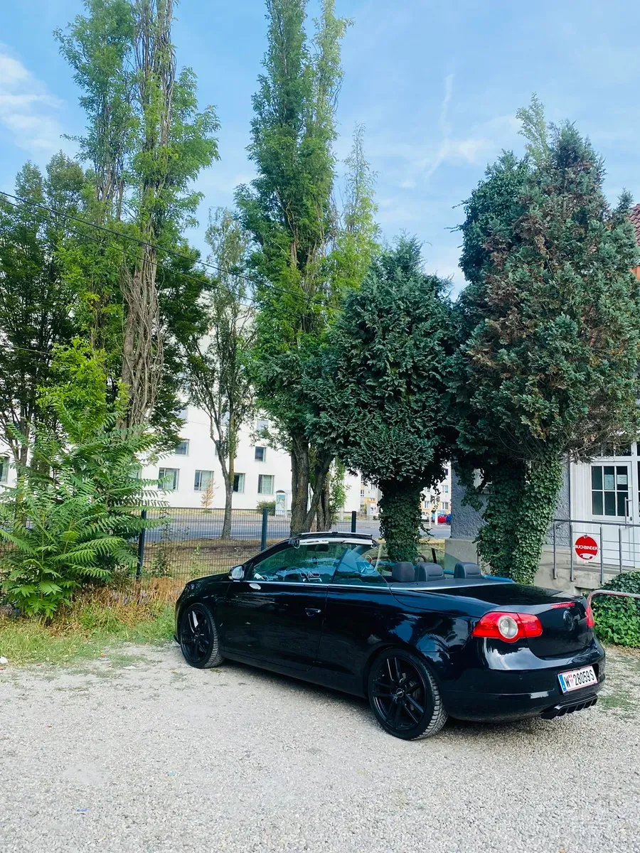 Volkswagen Eos 2008 photo 2