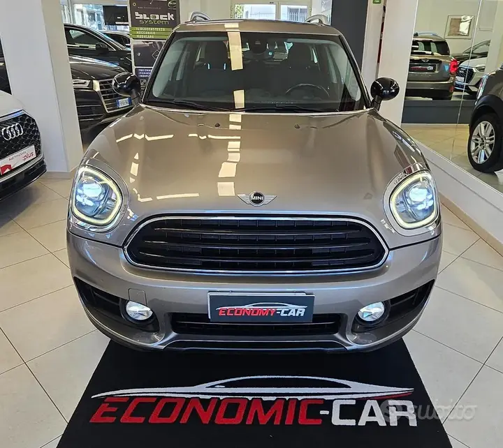 Mini Mini Countryman