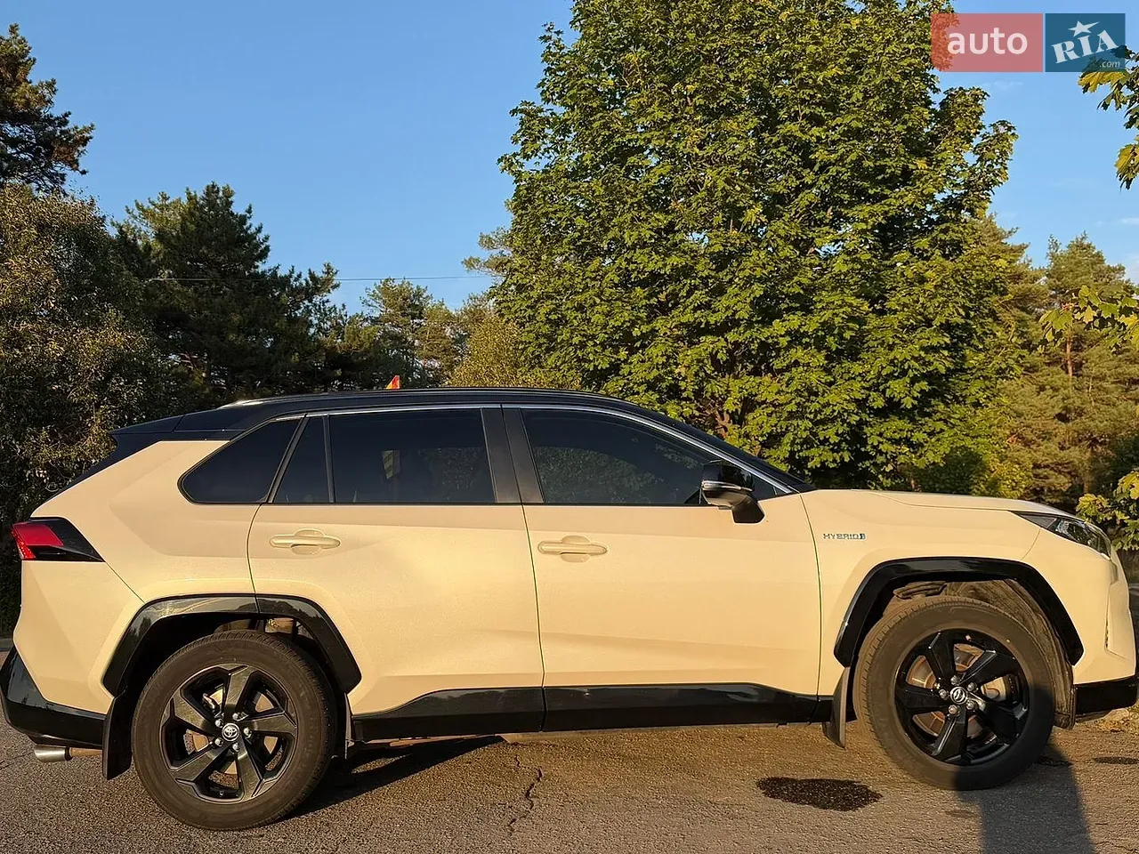 Toyota Rav4 2020 photo 3