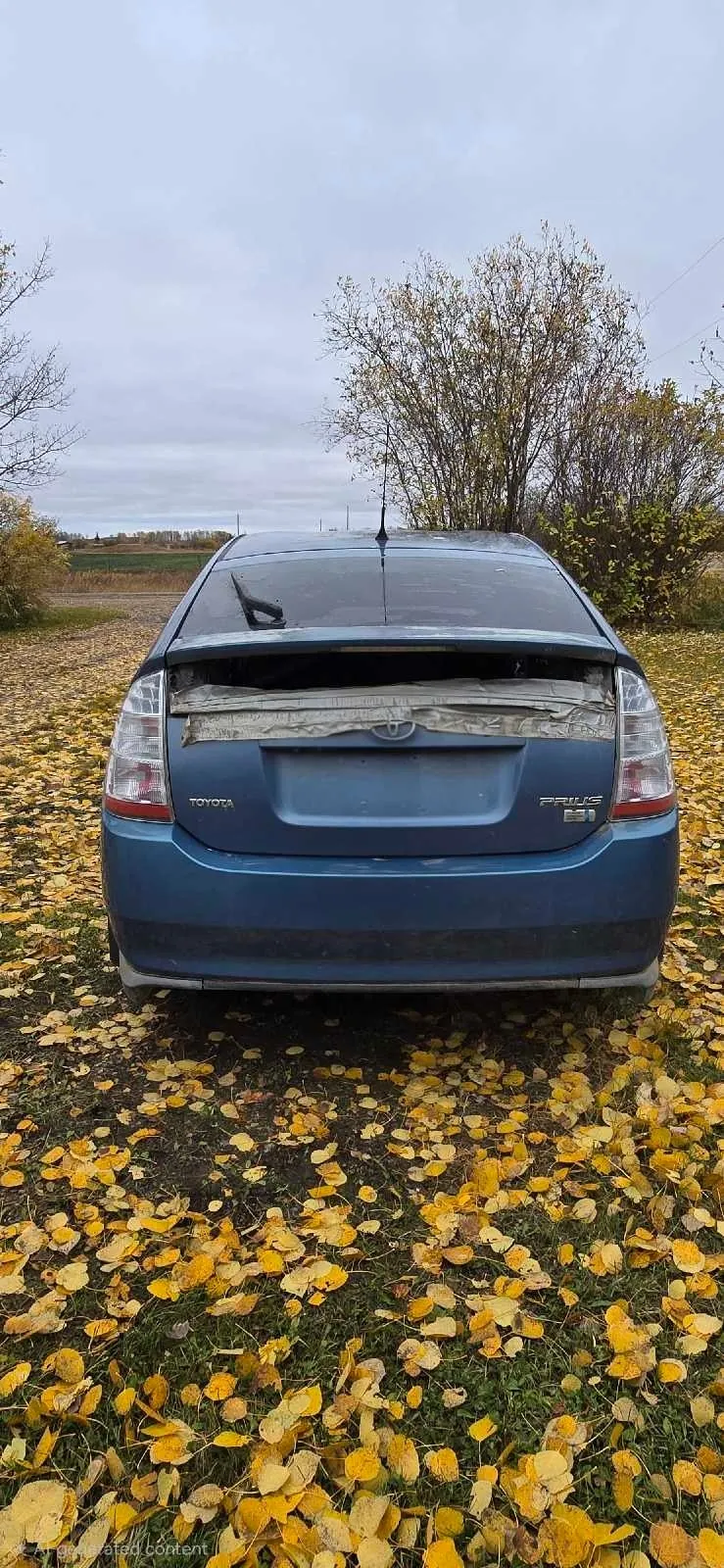 Toyota Prius 2009 photo 5