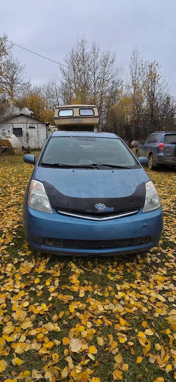 Toyota Prius 2009 photo 3