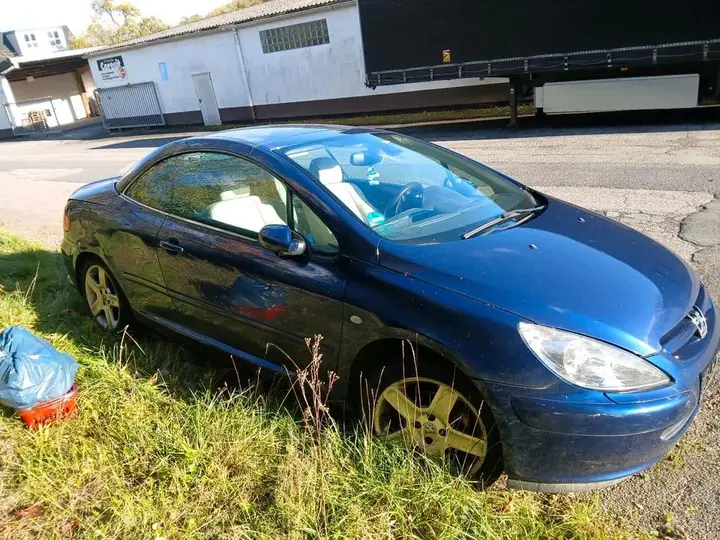 Peugeot 307