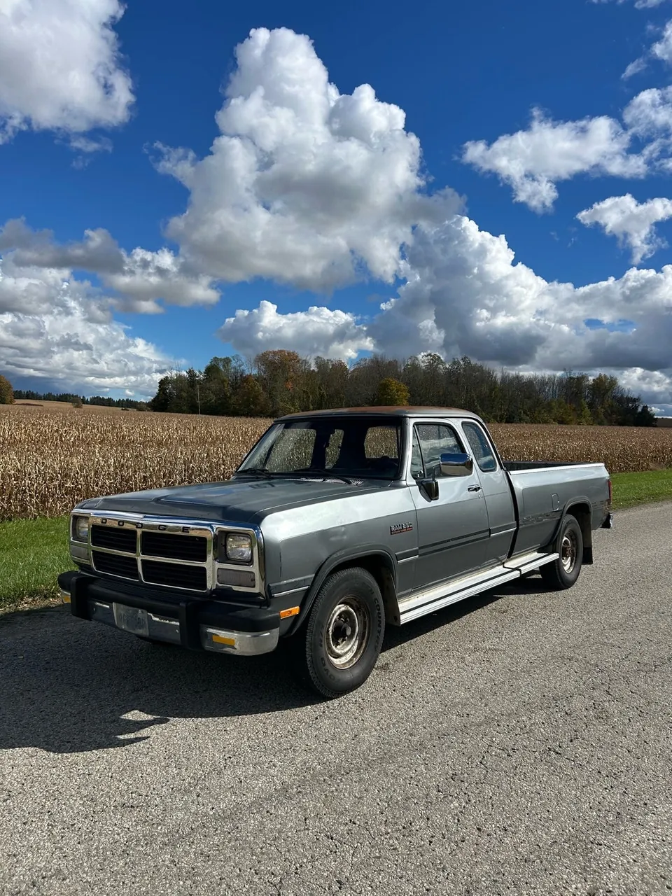 Dodge D250 Club Cab 1993 photo 2