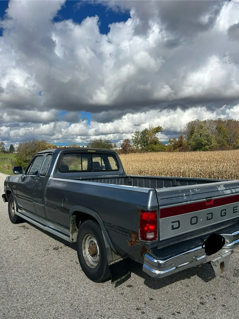 Dodge D250 Club Cab 1993 photo 5