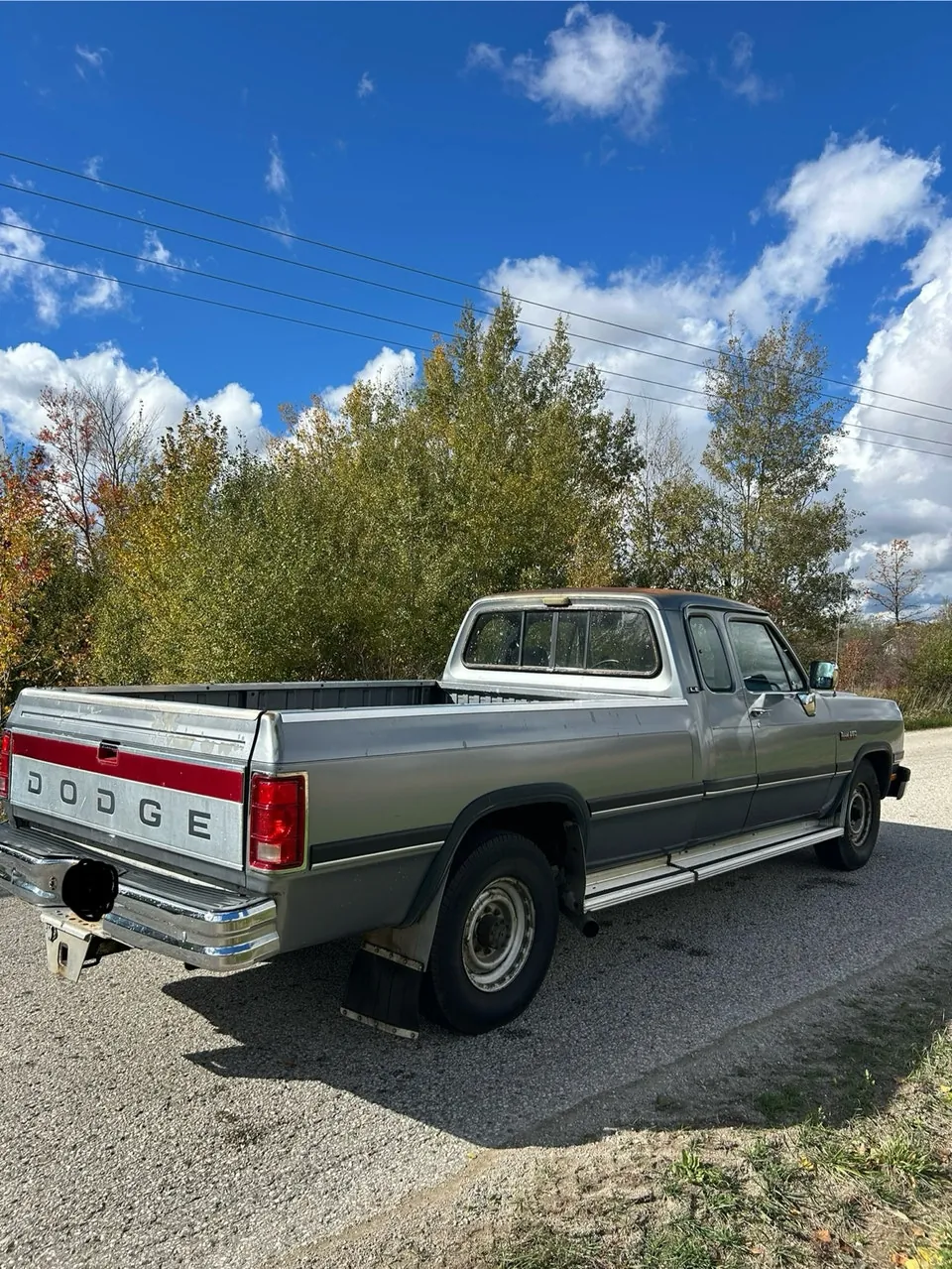 Dodge D250 Club Cab 1993 photo 4